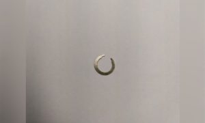 Zawleczka wrzeciona do rączki frezarki PROMED 2520 ( "C" Snap Ring )